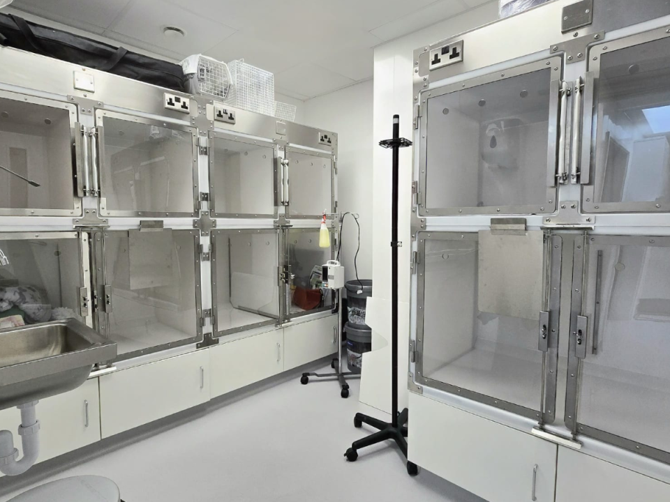 isolation unit at novivet clinic