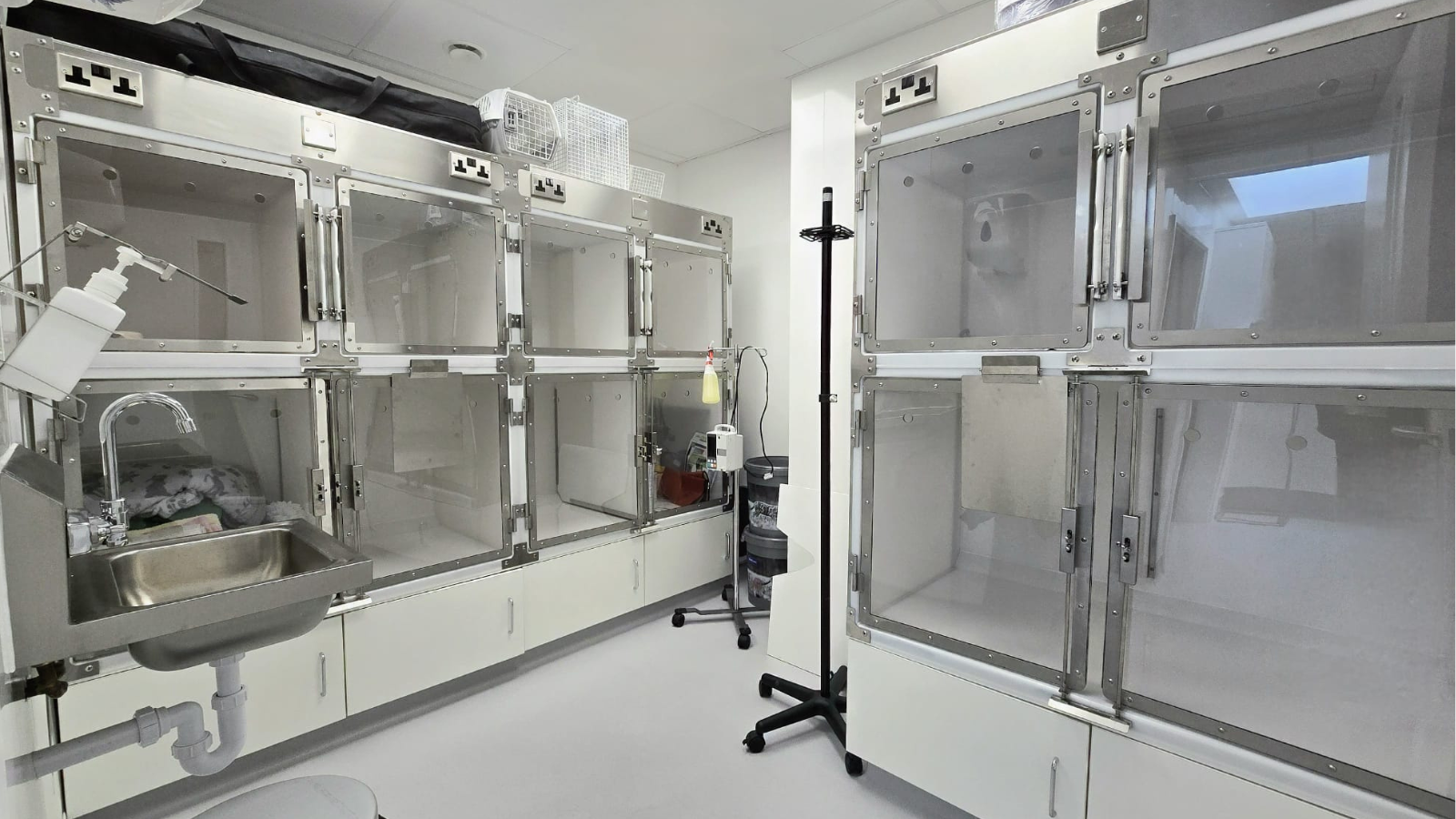 isolation unit at novivet clinic